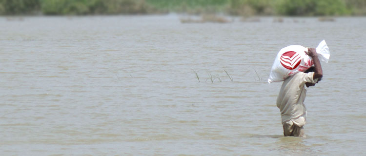 Badin Floods